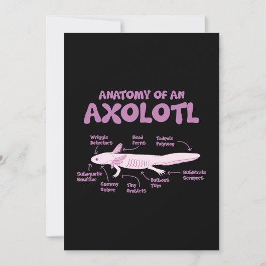 anatomy of an axolotl axolotls biology science. holiday card
