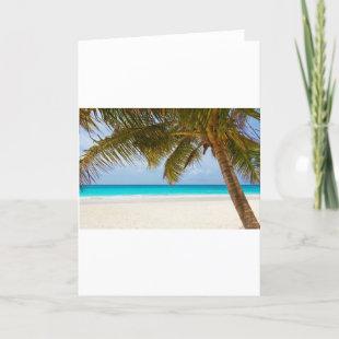 beach palm branches tree tropical island sand sea card