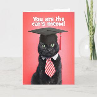 Congratulations Graduate Cat in Graduation Cap Holiday Card