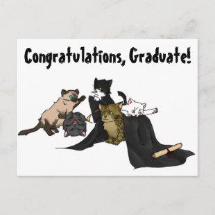 Congratulations, Graduate! Kitty Card. Announcement Postcard