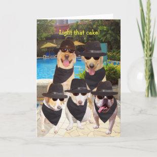 Customizable Funny Blues Dogs/Labs Birthday Card