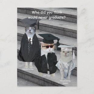 Customizable Funny Cat/Kitty Graduates Announcement Postcard