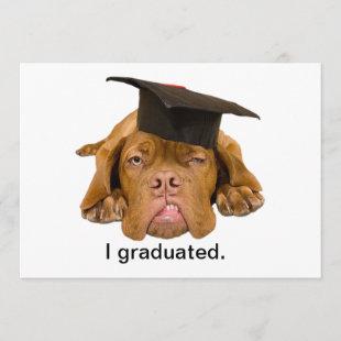 dog with graduation hat invitation