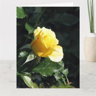 Elegant and Understated Single Yellow Rose in Bloo Card