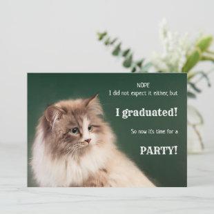 Funny Cat High School Graduation Invitation