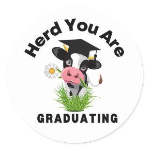 Funny Cow Graduation Sticker