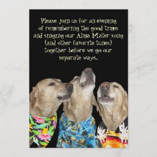 Funny Dog Graduation Party Invitation