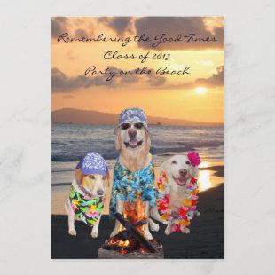 Funny Dog Graduation Party on the Beach Invitation