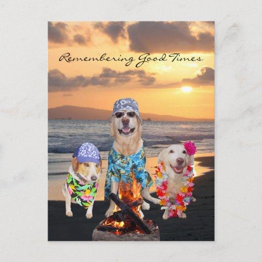 Funny Dog Graduation Party on the Beach Postcard
