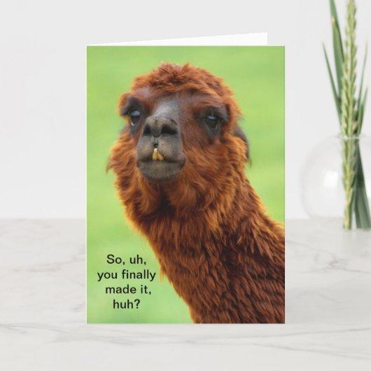Funny Llama Graduation Card