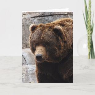 grizzly-bear-012 holiday card