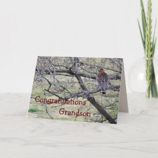Hawk Congratulations - customize any occasion Card