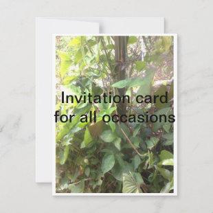Invitation card for all occasions