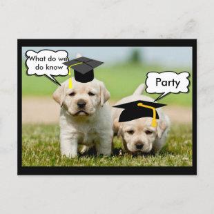 Labrador Retriever with graduation hats on. Announcement Postcard
