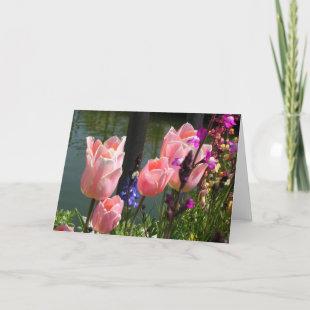 Pink Tulips Card