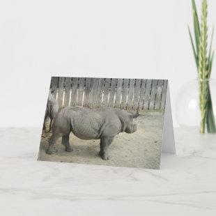 Rhino Birthday Card! Card