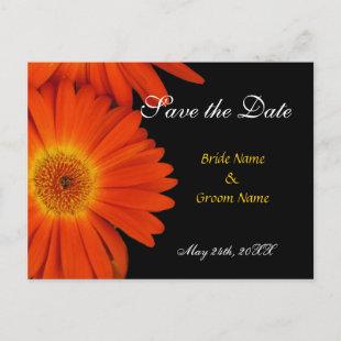 save the date,gerbera daisy announcement postcard