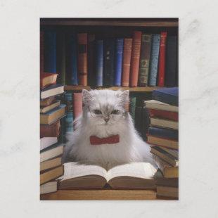 Smart graduation cat announcement postcard